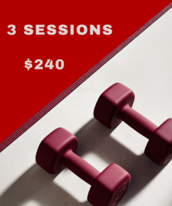 Three 1-Hour Personal Training Sessions