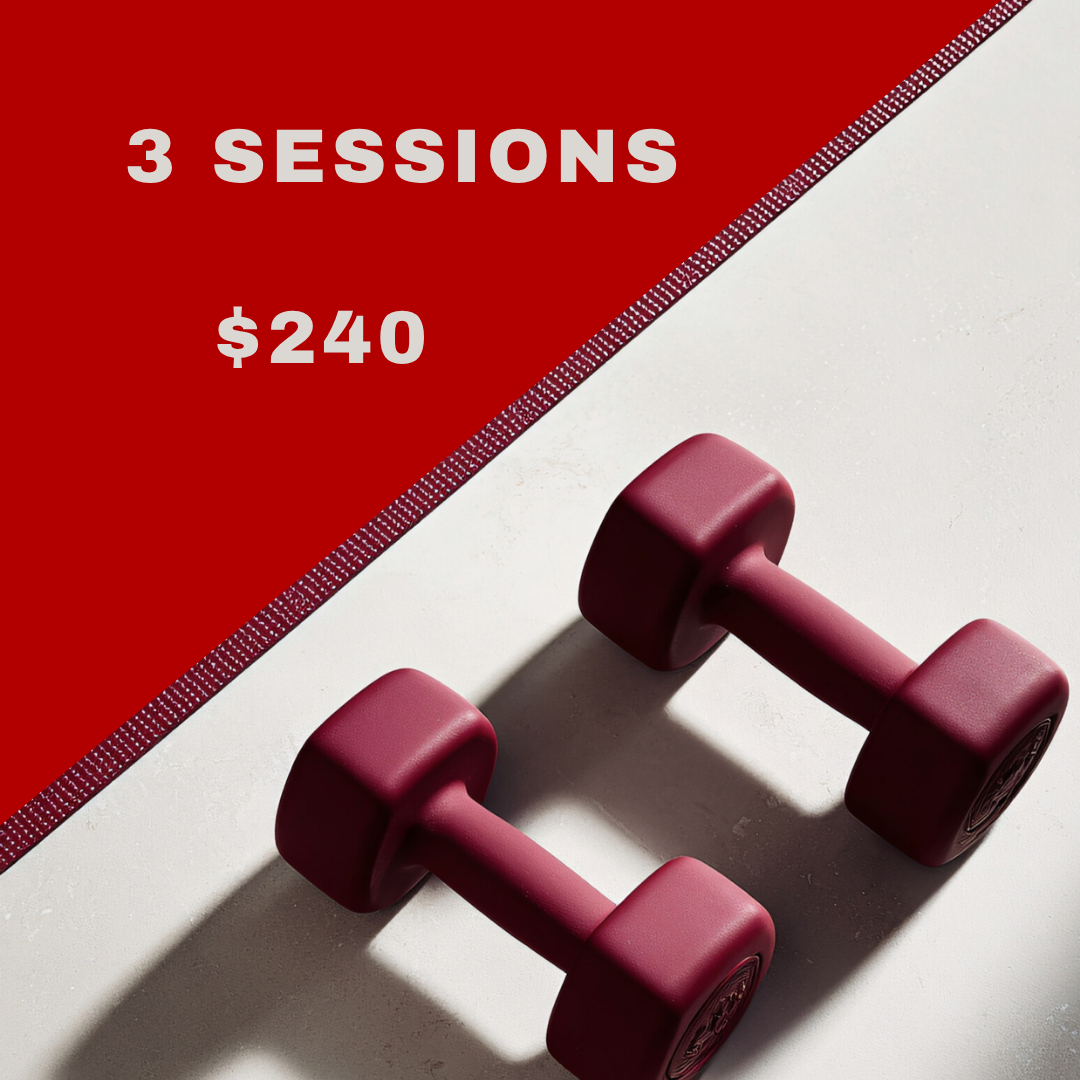 Three 1-Hour Personal Training Sessions