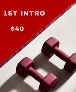 1-Hour Intro & Assessment